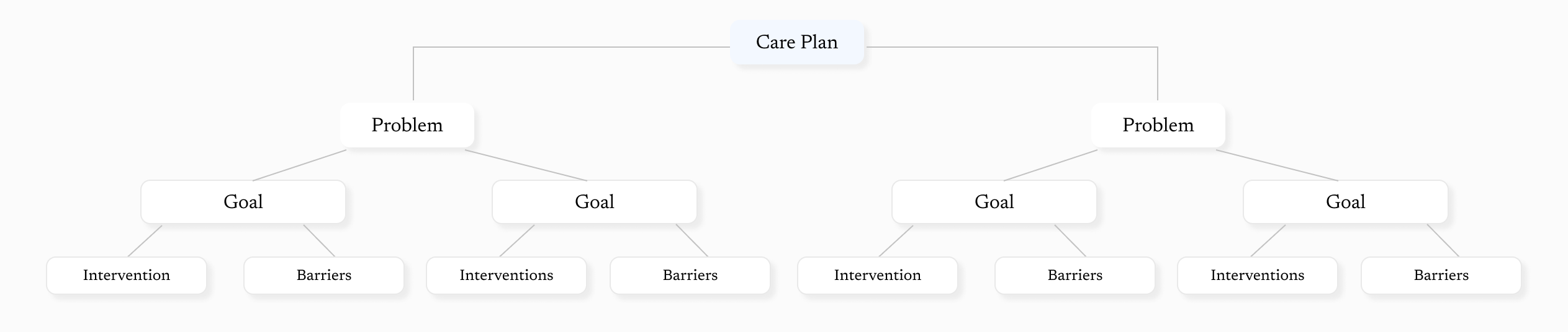 New care plan structure