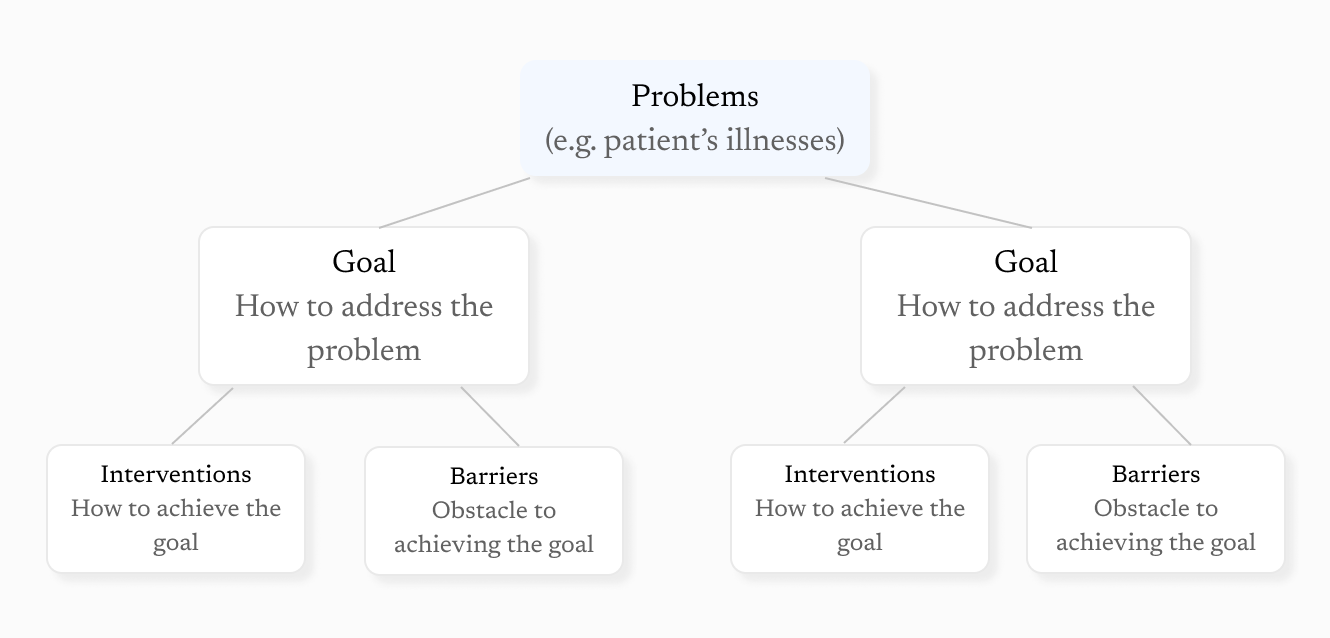 Care plan structure